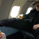 Image for article titled Arrested Megaupload Boss Cheated His Way To Video Game Glory, Opponents Say